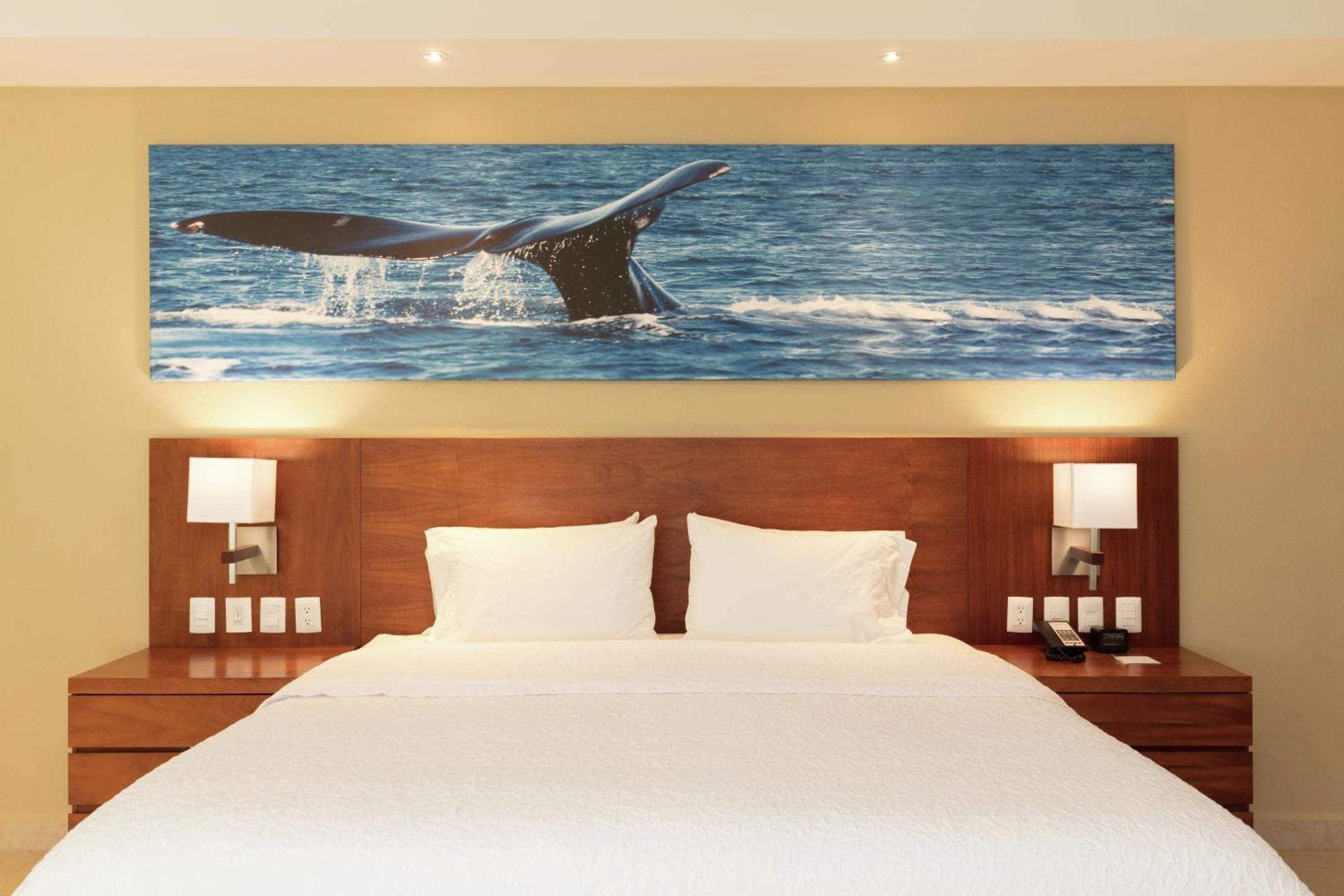 Hampton Inn & Suites By Hilton Los Cabos San José del Cabo Dış mekan fotoğraf